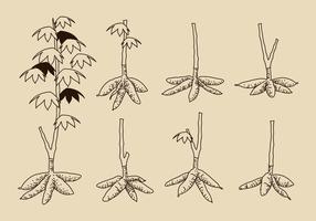 【芋頭圖片】50套 Illustrator 芋頭圖卡通下載,芋頭圖案推薦款 【芋頭圖片】50套 Illustrator 芋頭圖卡通下載,芋頭圖案推薦款