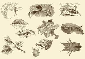 【昆蟲圖案】100套 illustrator 昆蟲圖案下載,Q版昆蟲推薦款 【昆蟲圖案】100套 illustrator 昆蟲圖案下載,Q版昆蟲推薦款