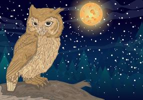 【貓頭鷹圖案】60套 Illustrator 貓頭鷹 q 版圖下載,貓頭鷹卡通圖推薦款 【貓頭鷹圖案】60套 Illustrator 貓頭鷹 q 版圖下載,貓頭鷹卡通圖推薦款