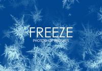 【雪花筆刷】90套專業版PHOTOSHOP雪花筆刷下載 【雪花筆刷】90套專業版PHOTOSHOP雪花筆刷下載