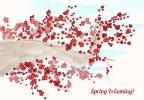 【櫻花素材】70套illustrator 櫻花背景圖案素材下載,櫻花花瓣推薦款 【櫻花素材】70套illustrator 櫻花背景圖案素材下載,櫻花花瓣推薦款