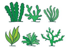 【水草卡通圖】39套 Illustrator 水草圖片下載,水草素材推薦款 【水草卡通圖】39套 Illustrator 水草圖片下載,水草素材推薦款