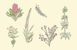 【花卉圖案】精選35款花卉圖案下載,花卉圖免費推薦款 【花卉圖案】精選35款花卉圖案下載,花卉圖免費推薦款