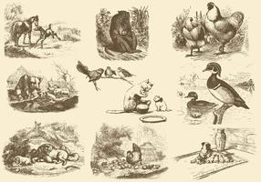 【動物圖庫】75套 Illustrator 可愛卡通動物AI檔免費下載 【動物圖庫】75套 Illustrator 可愛卡通動物AI檔免費下載