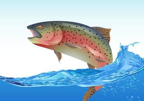 【小魚圖案】39套 Illustrator 小魚 q版圖下載,小魚符號推薦款 【小魚圖案】39套 Illustrator 小魚 q版圖下載,小魚符號推薦款