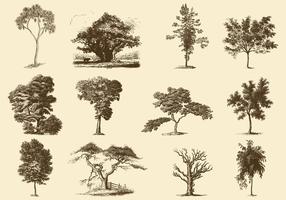 【樹圖案】67套 Illustrator 樹插圖下載,樹png推薦款 【樹圖案】67套 Illustrator 樹插圖下載,樹png推薦款