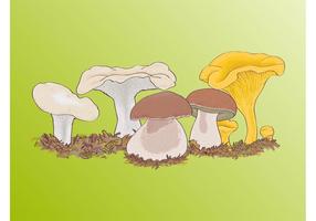 【香菇圖片】55套 Illustrator 香菇圖案下載,香菇插畫推薦款 【香菇圖片】55套 Illustrator 香菇圖案下載,香菇插畫推薦款