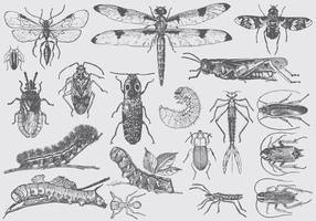 【昆蟲圖案】100套 illustrator 昆蟲圖案下載,Q版昆蟲推薦款 【昆蟲圖案】100套 illustrator 昆蟲圖案下載,Q版昆蟲推薦款