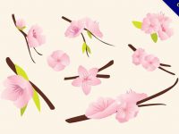 【梅花素材】精選39款梅花素材下載，梅花圖片免費推薦款