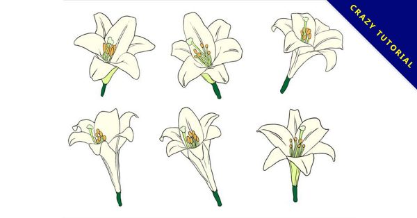 【百合花圖案】精選31款百合花圖案下載,百合花圖騰免費推薦款 【百合花圖案】精選31款百合花圖案下載,百合花圖騰免費推薦款