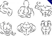 【肌肉卡通圖】精選34款肌肉卡通圖下載，肌肉圖片免費推薦款