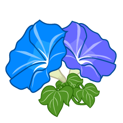 【牽牛花圖片】精選12款牽牛花圖片下載,牽牛花圖免費推薦款 【牽牛花圖片】精選12款牽牛花圖片下載,牽牛花圖免費推薦款