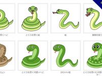 【蛇卡通圖】精選25款蛇卡通圖下載，蛇q版圖免費推薦款