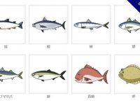 【魚q版圖】精選36款魚q版圖下載，可愛魚圖案免費推薦款