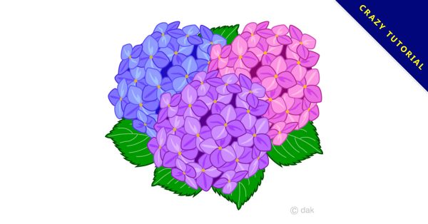 【繡球花圖片】精選10款繡球花圖片下載,繡球花插畫免費推薦款 【繡球花圖片】精選10款繡球花圖片下載,繡球花插畫免費推薦款
