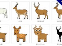 【鹿插畫】精選10款鹿插畫下載，鹿插圖免費推薦款