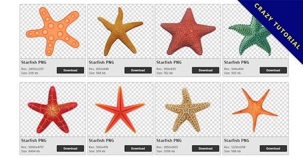 【海星PNG】精選39款海星PNG圖片素材下載,完全免去背的海星圖片 【海星PNG】精選39款海星PNG圖片素材下載,完全免去背的海星圖片