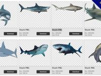 【鯊魚PNG】精選28款鯊魚PNG圖片素材下載，完全免去背的鯊魚圖案