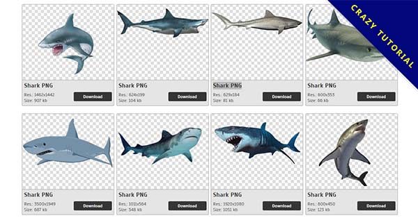 【鯊魚PNG】精選28款鯊魚PNG圖片素材下載,完全免去背的鯊魚圖案 【鯊魚PNG】精選28款鯊魚PNG圖片素材下載,完全免去背的鯊魚圖案