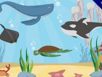 【海洋生物卡通】美編必備的19個可愛的卡通海洋生物下載