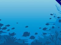 【魚缸背景圖】設計人都需要的17個高質感的魚缸背景圖下載