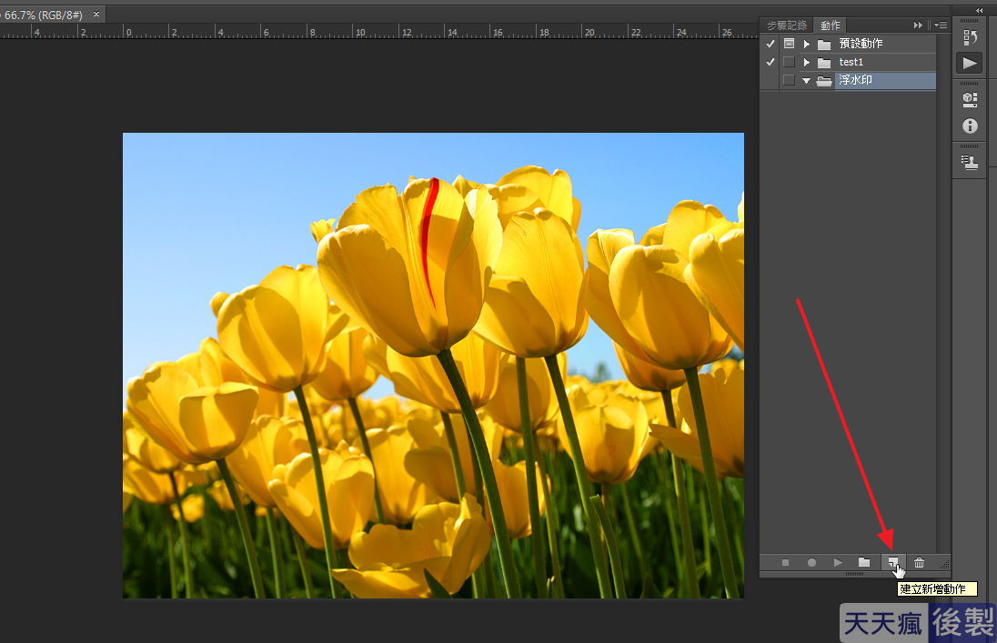 Photoshop 浮水印批次製作,一次設定PS永久使用 Photoshop 浮水印批次製作,一次設定PS永久使用