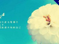 26張可愛的早安圖GIF圖下載，會動的早安圖片