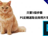 只要5個步驟，PS反轉選取去除照片背景