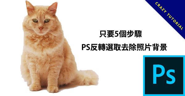 只要5個步驟，PS反轉選取去除照片背景