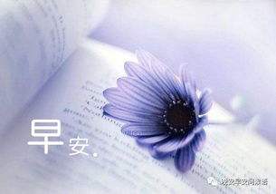 早安問候語圖 32張免費早安問候語圖下載,早晨請安貼圖分享