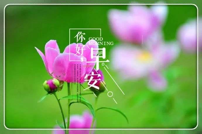 早安問候語圖 32張免費早安問候語圖下載,早晨請安貼圖分享