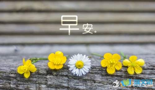 早安問候語圖 32張免費早安問候語圖下載,早晨請安貼圖分享
