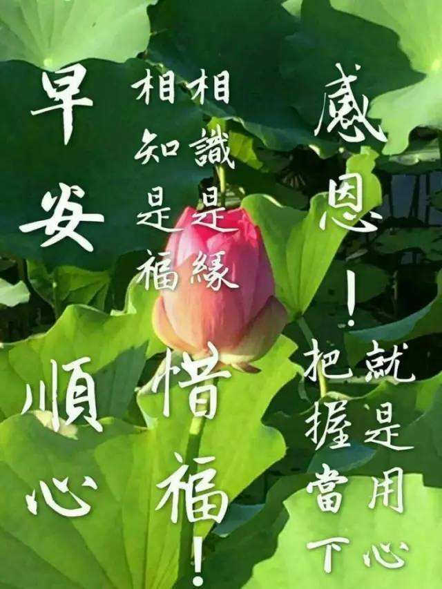 早安問候語圖 32張免費早安問候語圖下載,早晨請安貼圖分享