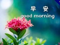 【祝福圖貼】85張免費的早安祝福圖貼下載，LINE貼圖專用