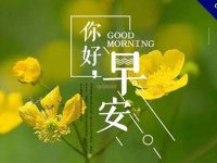 38張LINE可用的早安長輩圖下載，免費下載