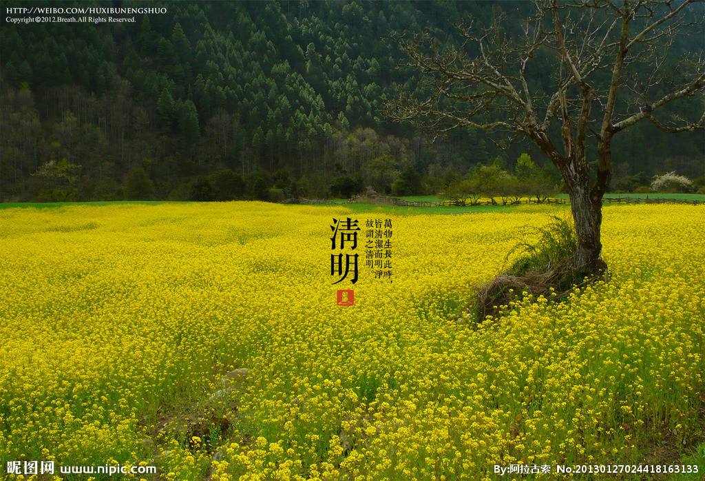 清明節圖 30張LINE可用的清明節圖片下載,可當作貼圖送給親友