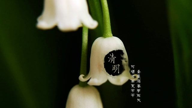 清明節圖 30張LINE可用的清明節圖片下載,可當作貼圖送給親友