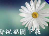 123張免費早安祝福圖下載，祝福美麗的早晨圖貼
