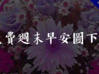 37張免費的週日早安圖下載，週末祝福貼圖推薦