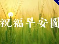 66張賴專用的祝福早安圖，傳給朋友不怕沒有賴貼圖