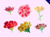 【康乃馨卡通】節日推薦：26張可愛的康乃馨卡通圖下載
