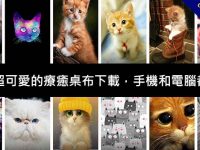 超多超可愛的療癒桌布下載，手機和電腦都通用