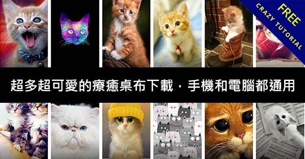 超多超可愛的療癒桌布下載,手機和電腦都通用 超多超可愛的療癒桌布下載,手機和電腦都通用