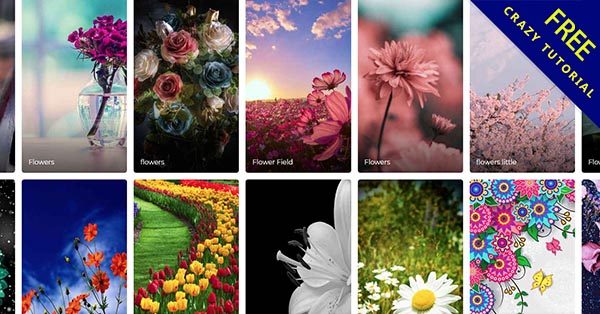 『花桌布』600張手機花朵桌布下載,手機支援iphone和android 『花桌布』600張手機花朵桌布下載,手機支援iphone和android