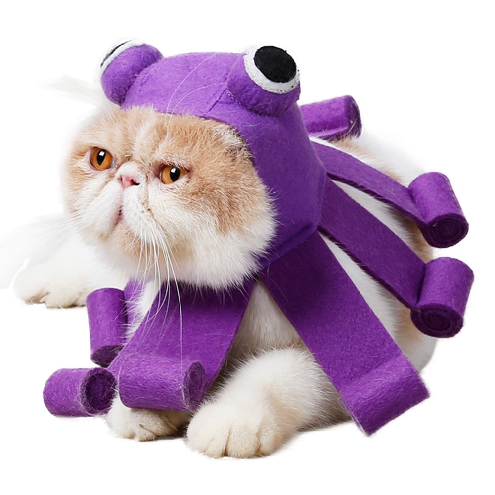 萬聖節貓咪服裝 萬聖節貓咪裝扮