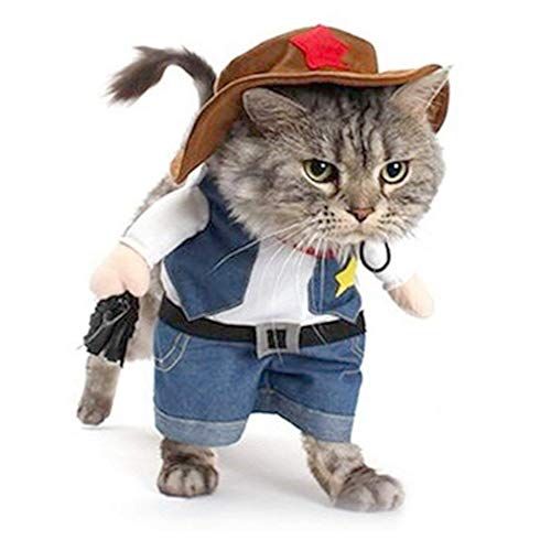 萬聖節貓咪服裝 萬聖節貓咪裝扮